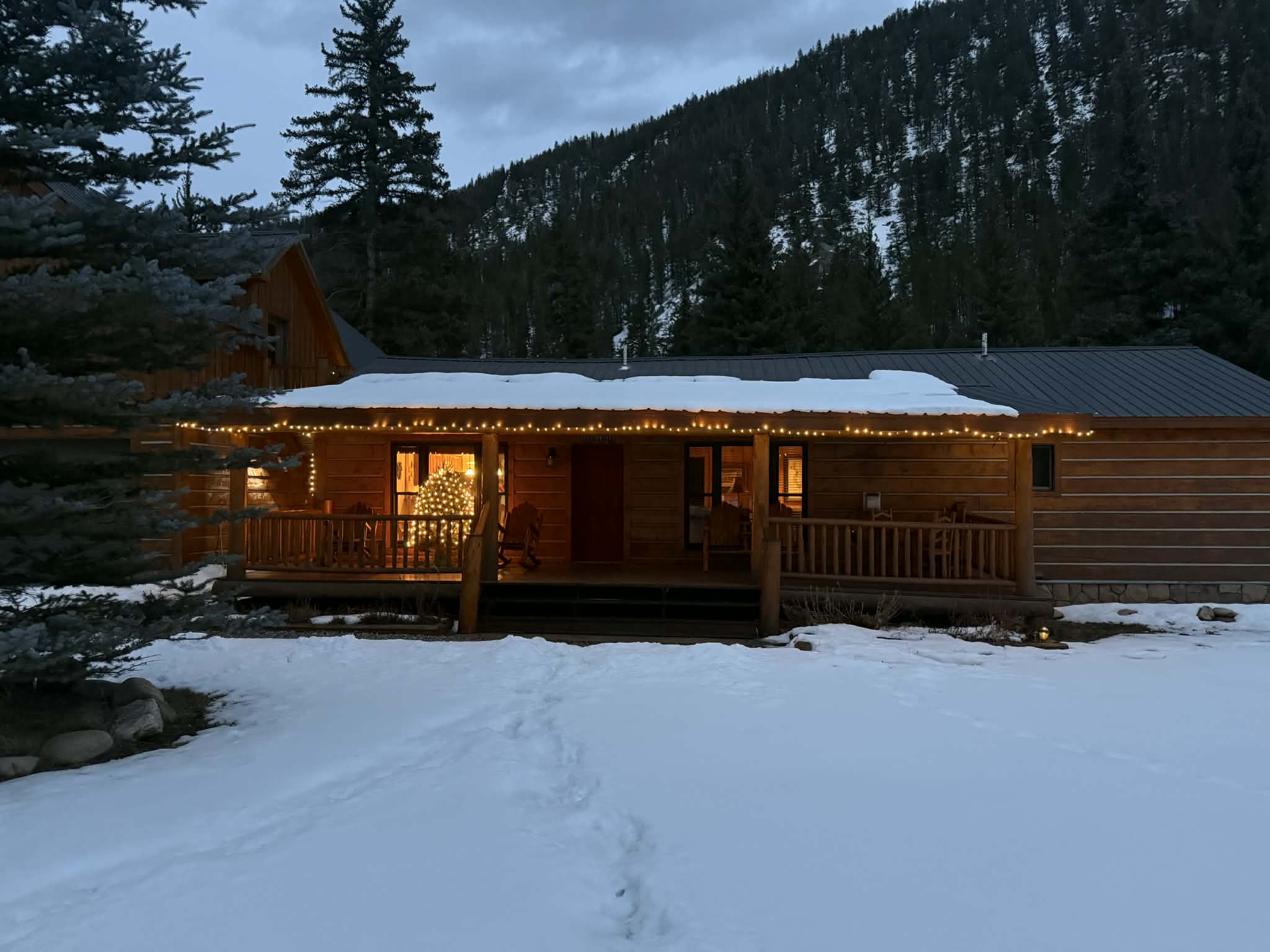 Cabin surrounded by trees